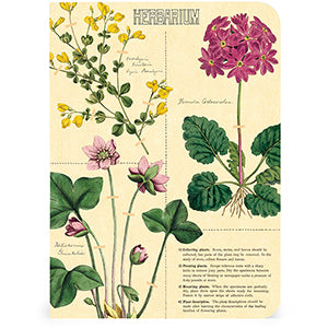 Herbarium Mini Notebooks