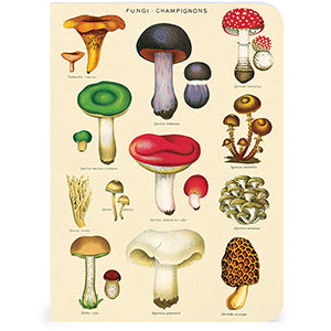 Mushrooms Mini Notebooks