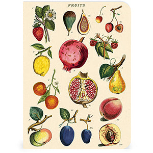 Mushrooms Mini Notebooks