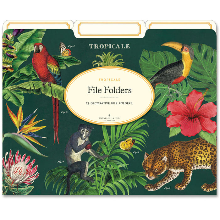 Tropical File Folders