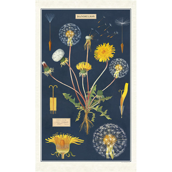 Dandelion Vintage Towel