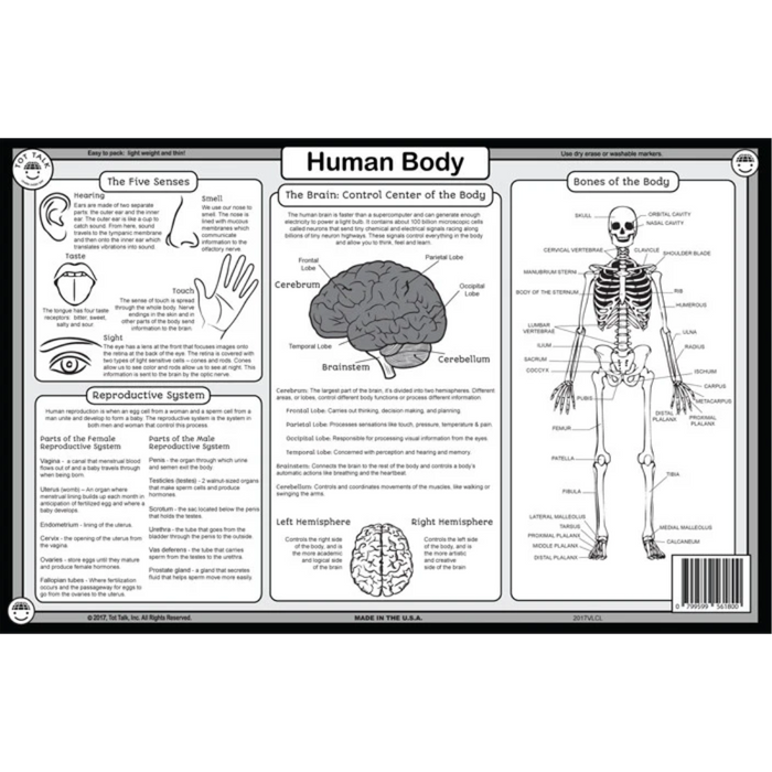 Human Body Placemat TT