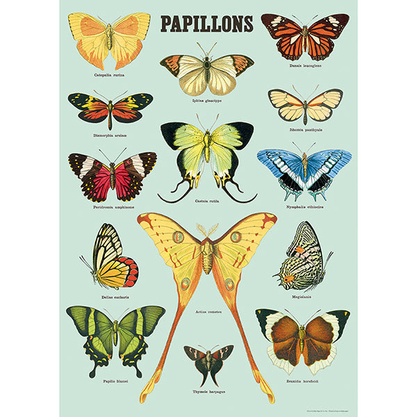 Papillon Vintage Poster