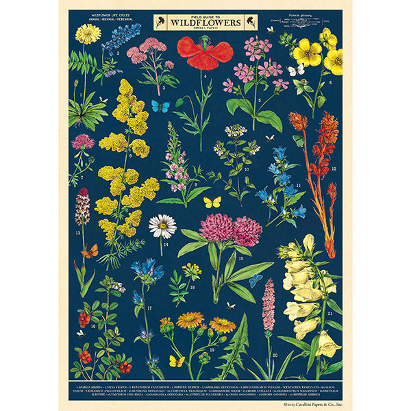 Field Guide to Wildflowers Vintage Poster