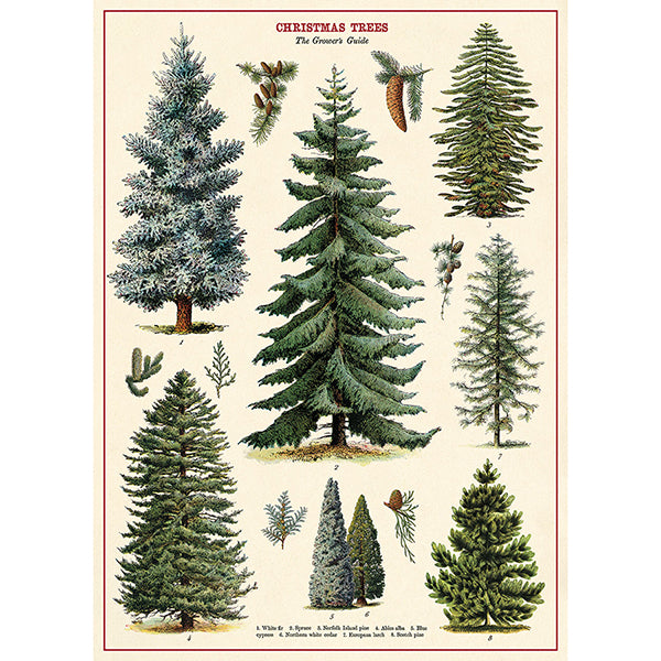 Christmas Trees Vintage Poster