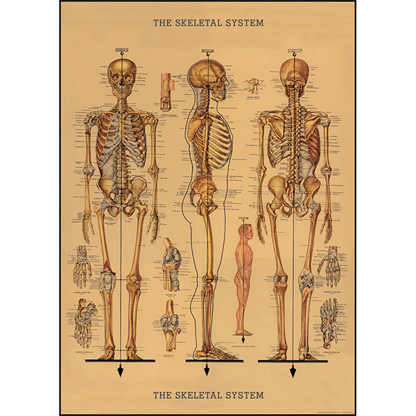 Skeleton Vintage Poster