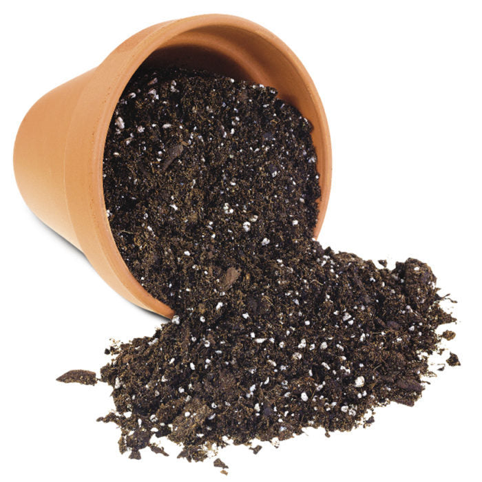 potting mix singapore Potting Soil
