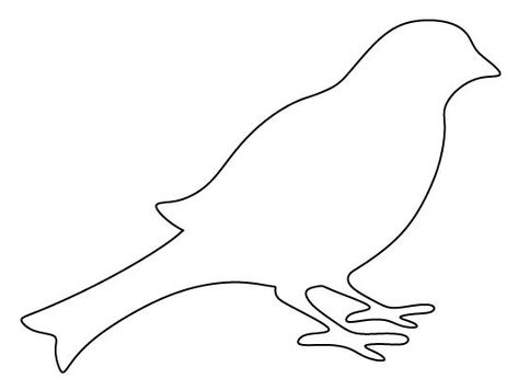 Outline of a Bird