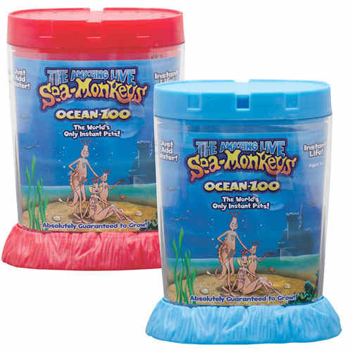 Sea Monkeys — Nature's Workshop Plus