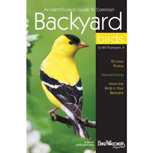 ID GT Common Backyard Birds