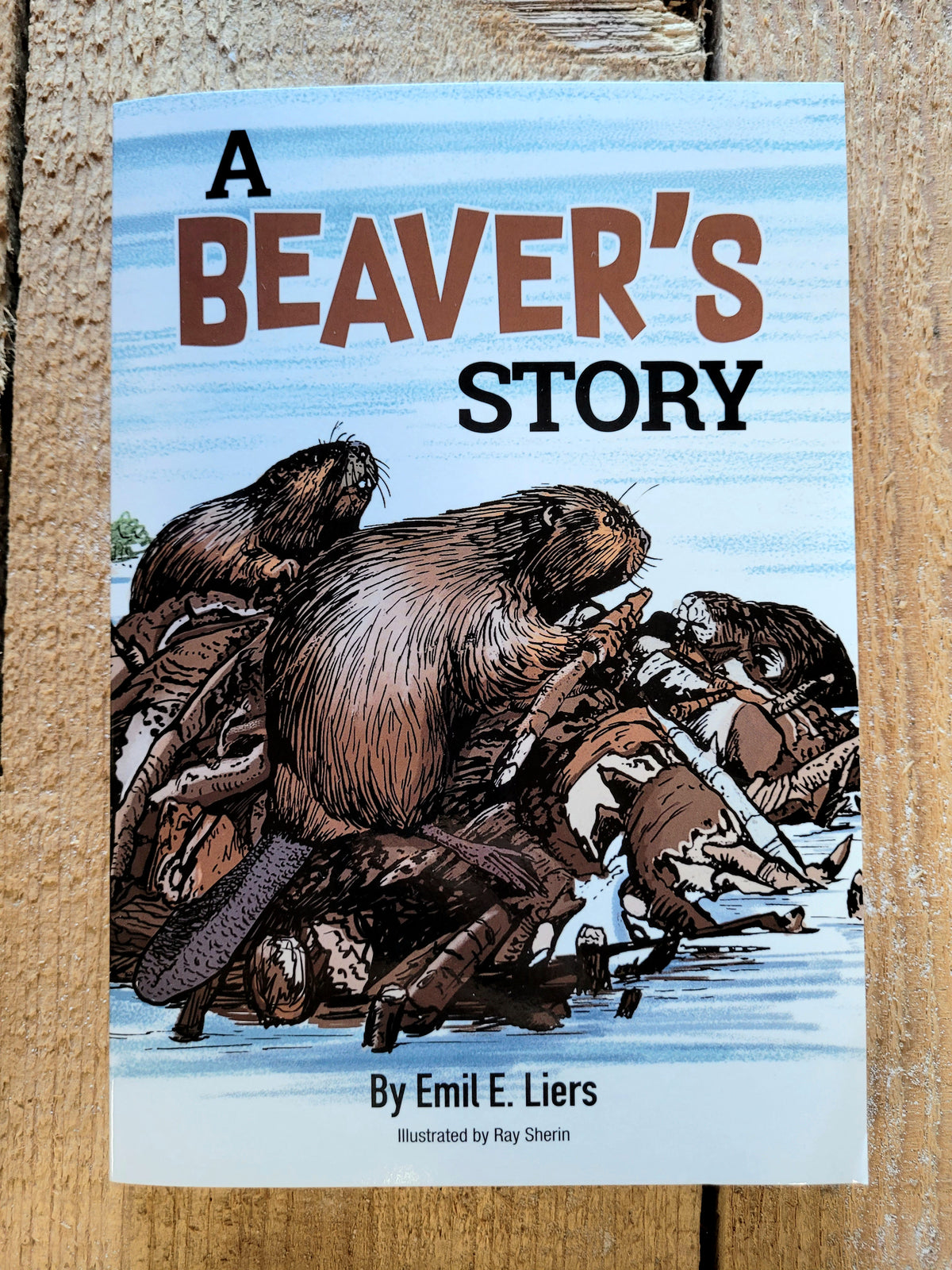 A Beaver's Story - Discover Fascinating Rodent Lives — Nature's ...