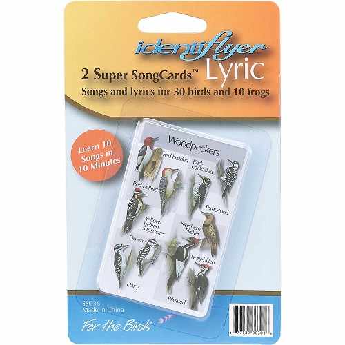 Lyric Super SongCards - 2pk