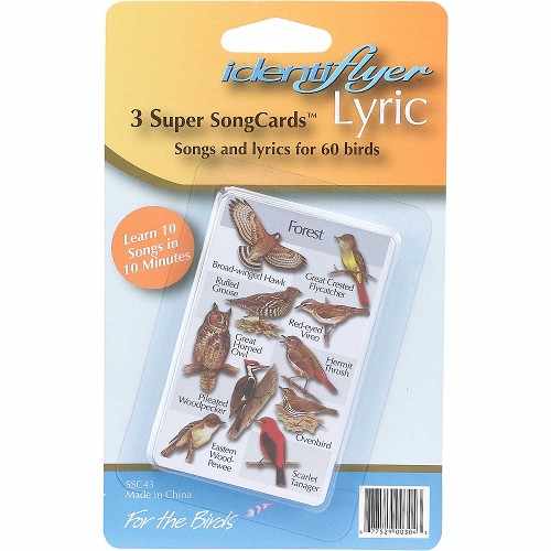 Lyric Super SongCards - 3pk