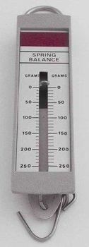 250g Metric Spring Scale