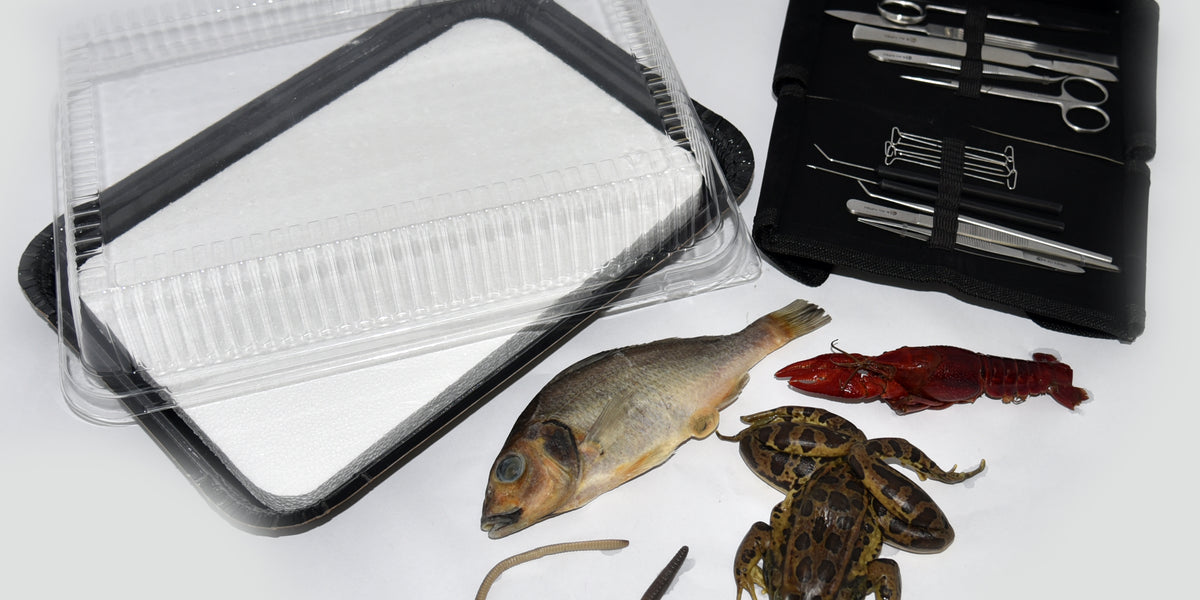 Dissecting Lab w/ Specimens for Apologia Biology Eps Pad — Nature's Plus