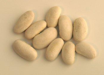 Bean Seeds 10pk