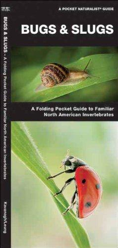 Bugs & Slugs - Pocket Nat.