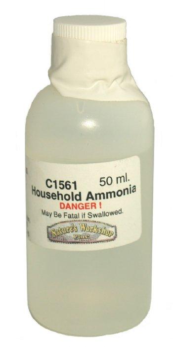 https://www.workshopplus.com/cdn/shop/products/45055-household-ammonia_1549_detail_350x699.jpg?v=1750697982