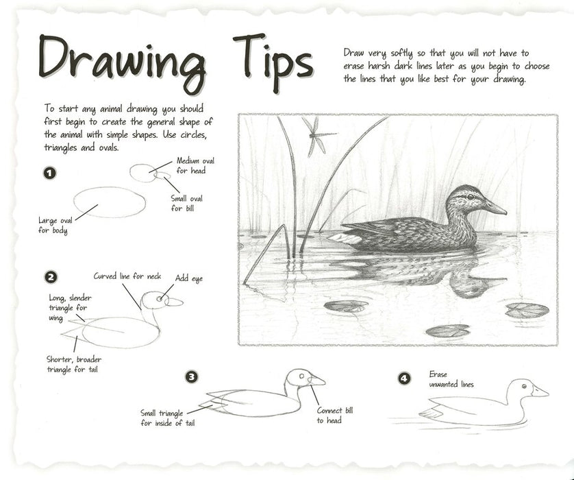 Sketchbook for Kids: Sketchbook For Kids No Lines, Drawing