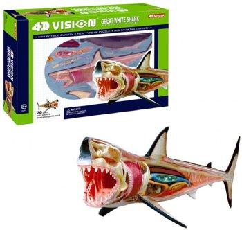 4D Great White Shark Model