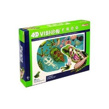 4D Vision Frog Model — Nature's Workshop Plus - Main Image
