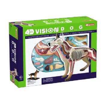 4D Vision Dog Model — Nature's Workshop Plus