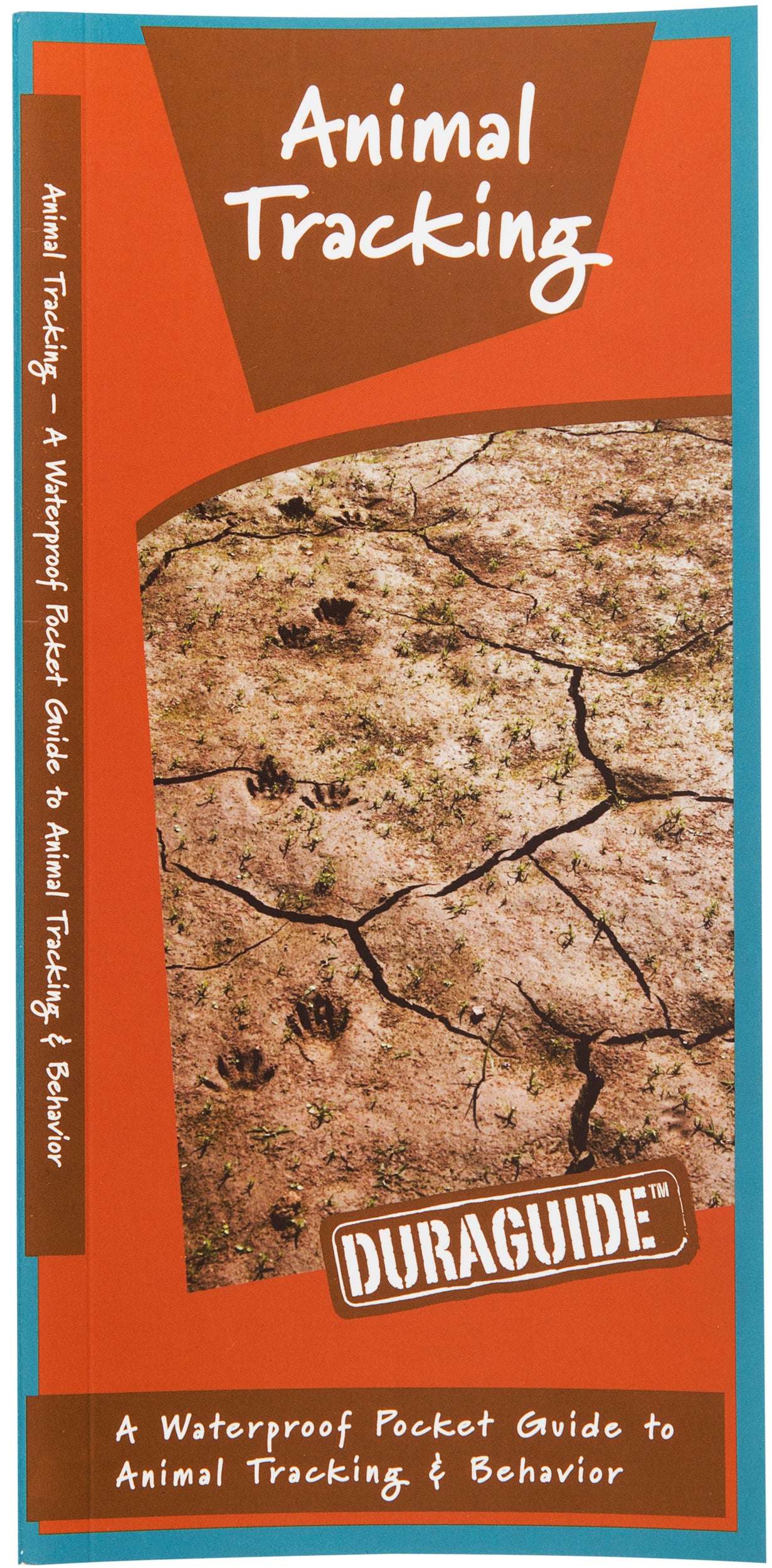 Animal Tracking Guide - Identify Animal Tracks — Nature's Workshop Plus