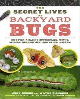 Secret Lives of Backyard Bugs