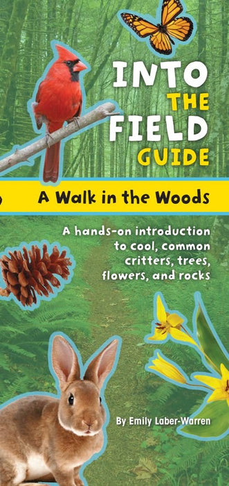 Into The Field Guide Woods Walk