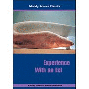 Experience with an Eel - DVD