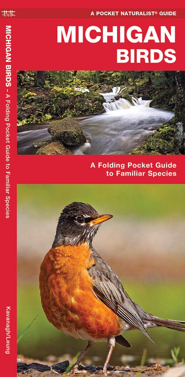 Michigan Birds - Pocket Naturalist Guide — Nature's Workshop Plus