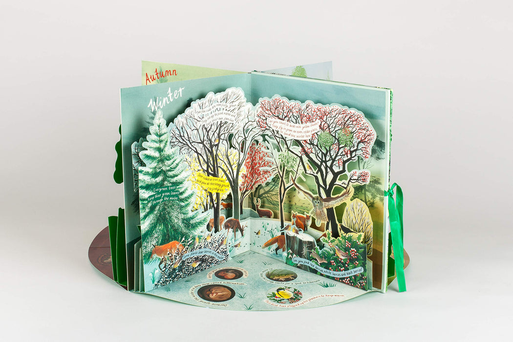 A Year In Nature Carousel Book