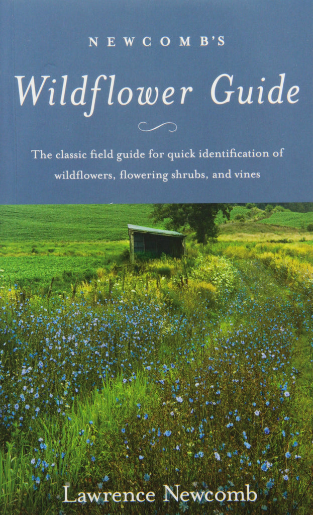 wildflower seeds identification Newcomb's Wildflower Guide