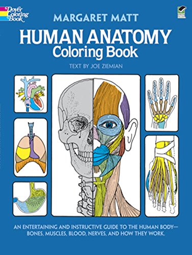 Human Anatomy Coloring Book - Matt