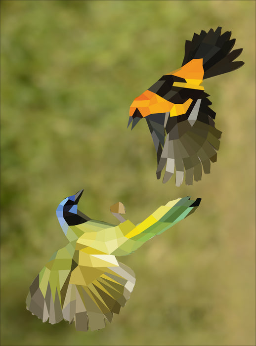 Paint By Sticker-Birds