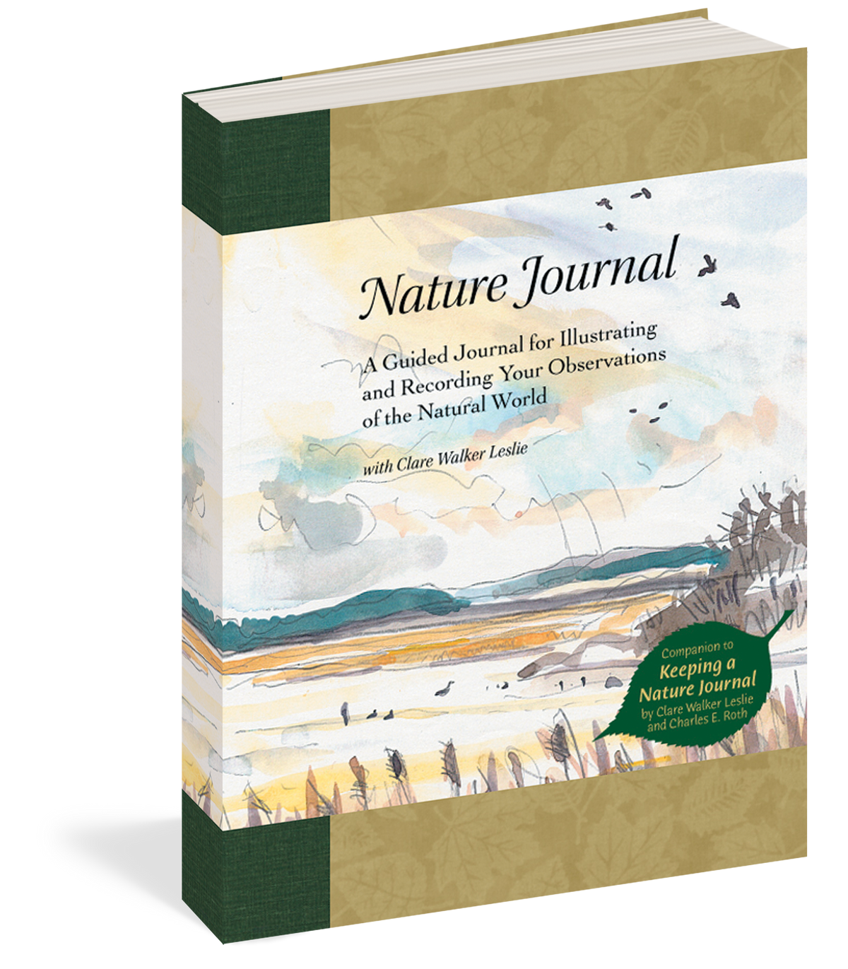 Keeping a Nature Journal — Nature's Workshop Plus