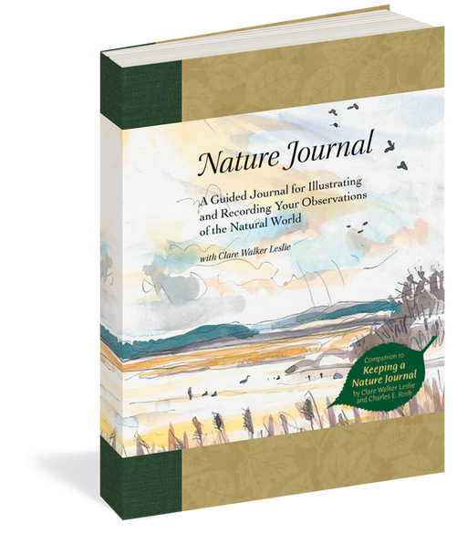 Journaling in the natural world