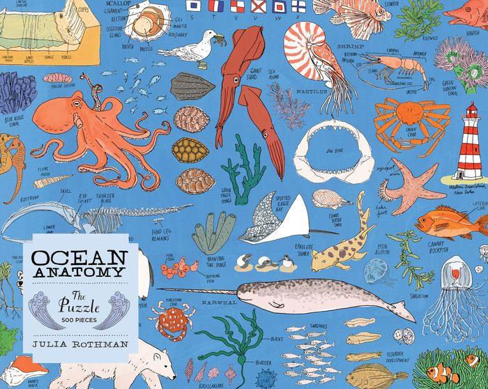 Ocean Anatomy, The Puzzle 500pcs
