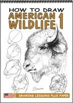 Draw Me American Wildlife