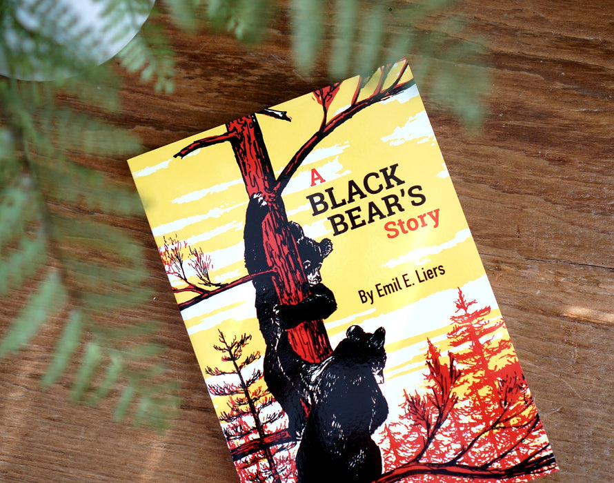 A Black Bear's Story