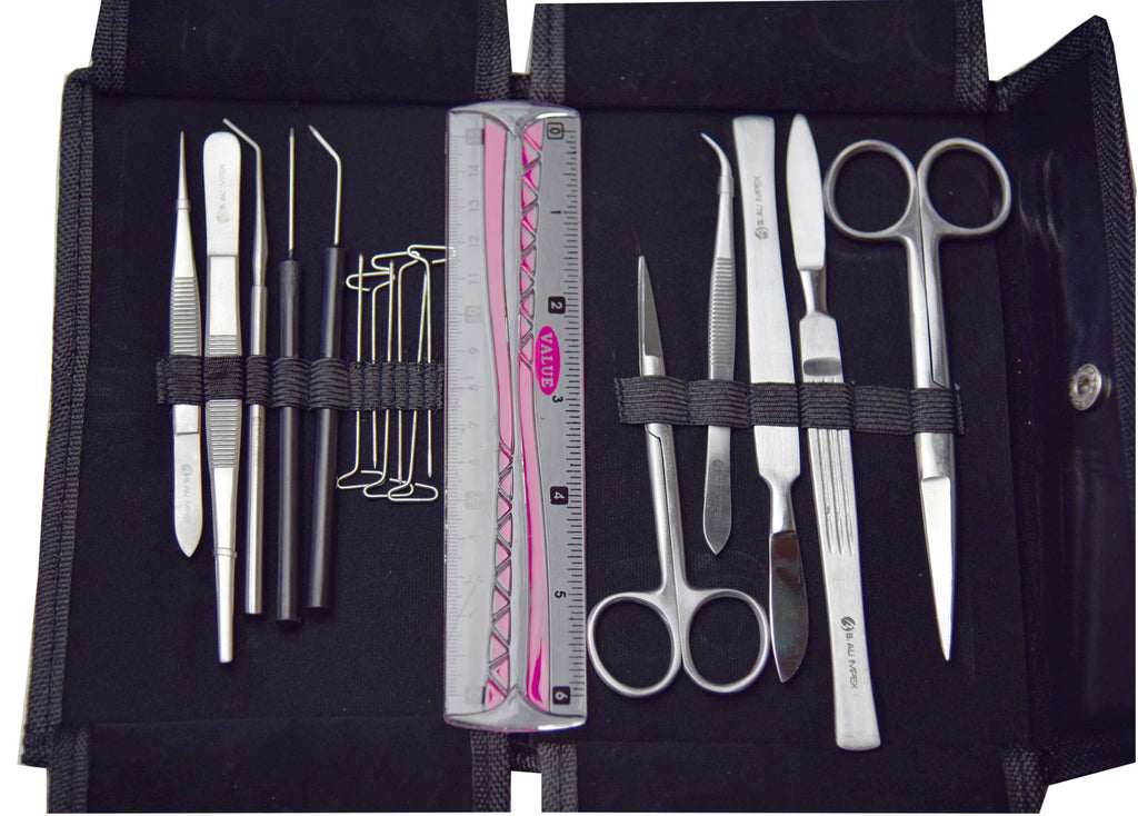 Dissection Specimens & Tools — Nature's Workshop Plus