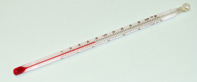 Dual scale thermometer 6"