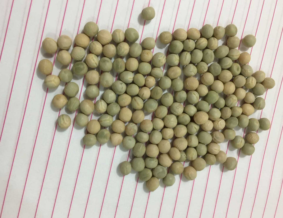 Dry Pea Seeds