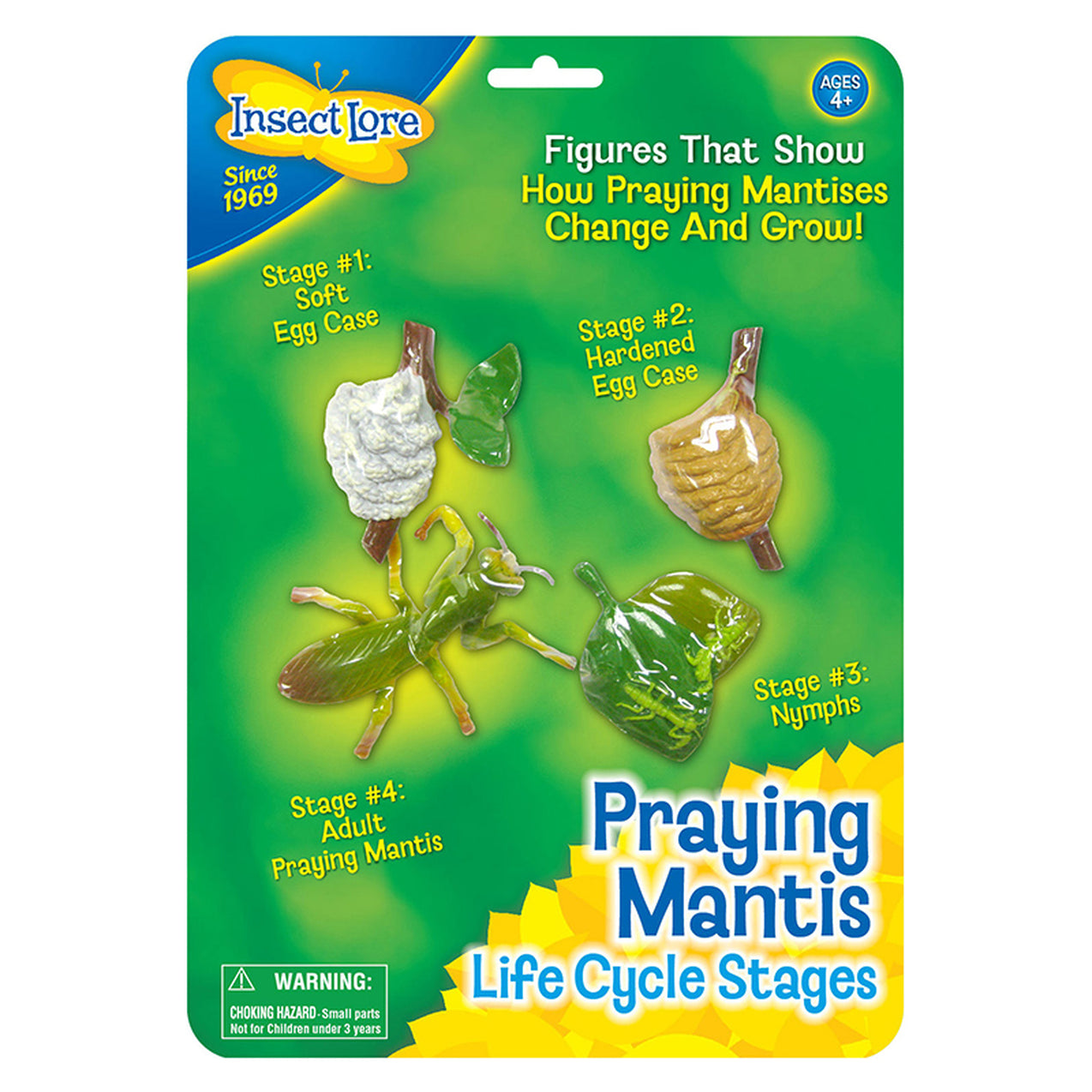 Mantis Development Mantis Life Cycle Stages — Nature's Workshop Plus