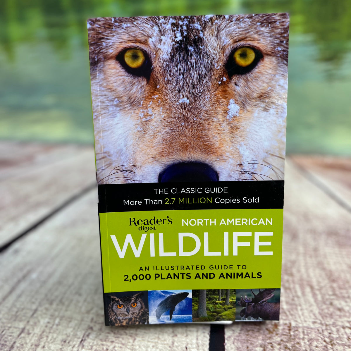 Reader's Digest North American Wildlife - Comprehensive Guide