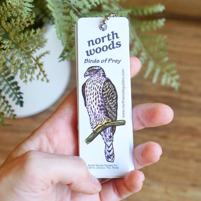 N Woods Guide Birds of Prey Key Chain