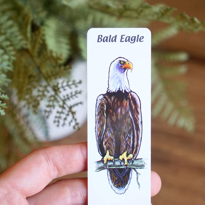 N Woods Guide Birds of Prey Key Chain