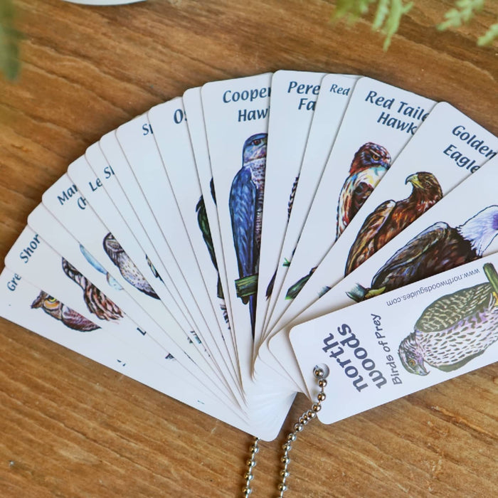 N Woods Guide Birds of Prey Key Chain