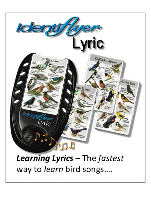 Birdsong Identiflyer Lyric