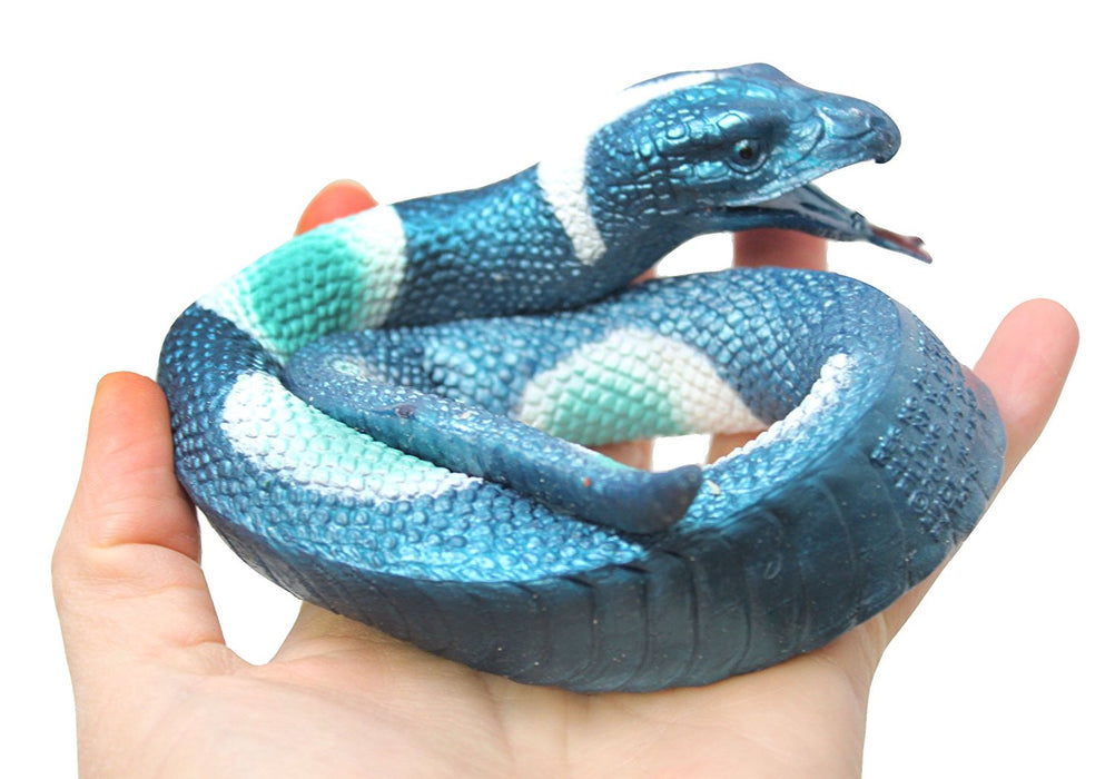 Squishy Snakes — Nature's Workshop Plus